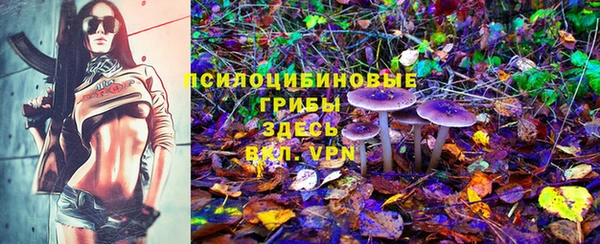 хмурый Кулебаки