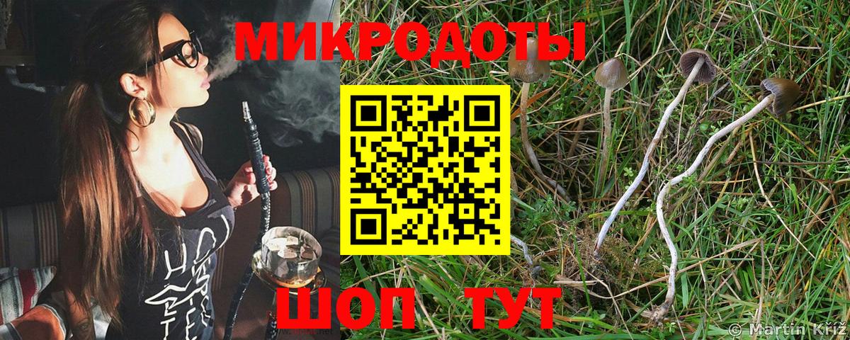 Галлюциногенные грибы Psilocybine cubensis  Псилоцибиновые грибы MAGIC MUSHROOMS  Тында 