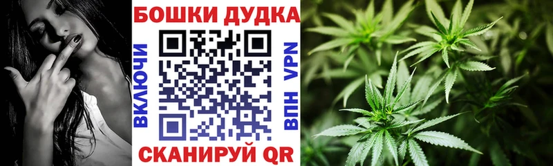 omg онион  как найти закладки  Тында  Бошки марихуана семена 
